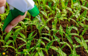 Fertilización Biológica